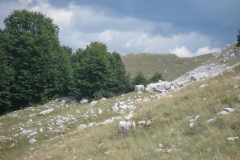 DSC01969