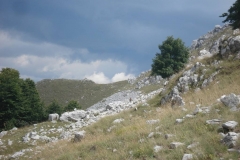 DSC01970