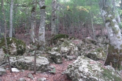 DSC01979