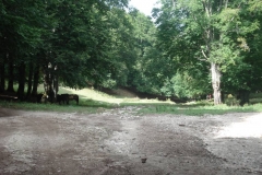 DSC01985