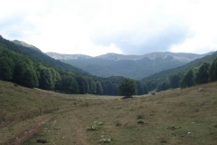 DSC01990