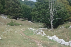 DSC01991