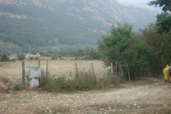 DSC01998