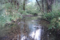 DSC02005