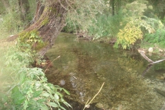 DSC02006