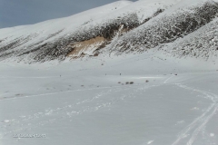 piani-di-pezza-feb2009-019