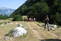 IMG_7453d