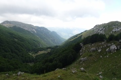 DSC03098