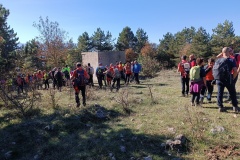 IMG_20241103_104923