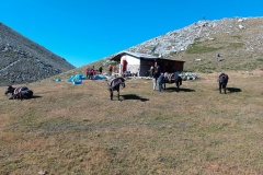 IMG_20250802_091905
