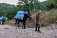 IMG-20240727-WA0014