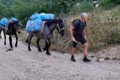 IMG-20240727-WA0015