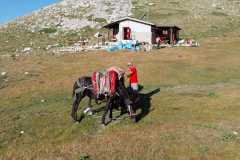 IMG-20240727-WA0018