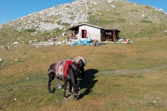 IMG-20240727-WA0020