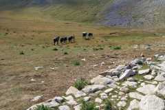 IMG-20240727-WA0024