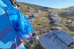 IMG-20240727-WA0026
