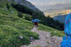 IMG-20240727-WA0031