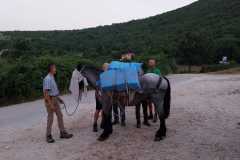 IMG-20240727-WA0035