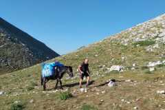 IMG-20240727-WA0040