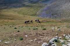 IMG-20240727-WA0041