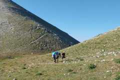 IMG-20240727-WA0042