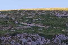 IMG-20240727-WA0044