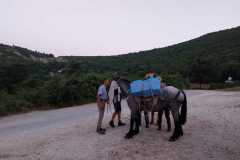 IMG-20240727-WA0045
