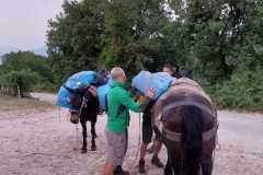 IMG-20240727-WA0048