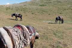 IMG-20240727-WA0049