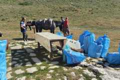 IMG-20240727-WA0068