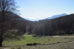 IMG_0045