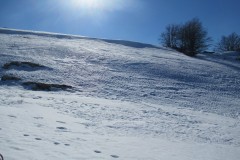 IMG_2273