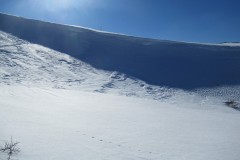 IMG_2278