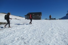 IMG_2295