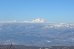 IMG_2318