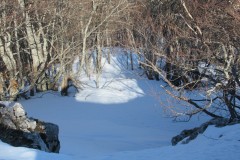IMG_2320