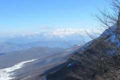 IMG_2322
