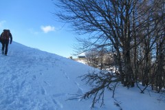 IMG_2345