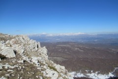 IMG_2352