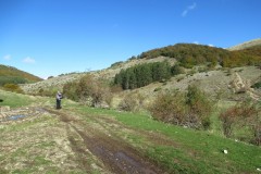 IMG_9994