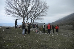 IMG_0742g