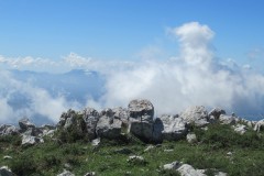 IMG_3679
