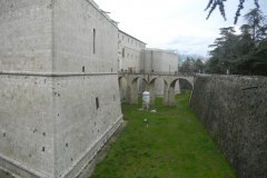 DSCN2471