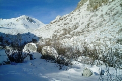 IMAG0046