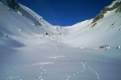 IMAG0057