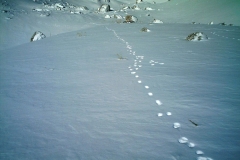 IMAG0061