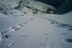 IMAG0069