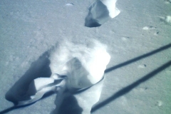 IMAG0070