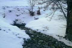 IMAG0086