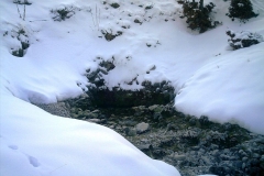 IMAG0087
